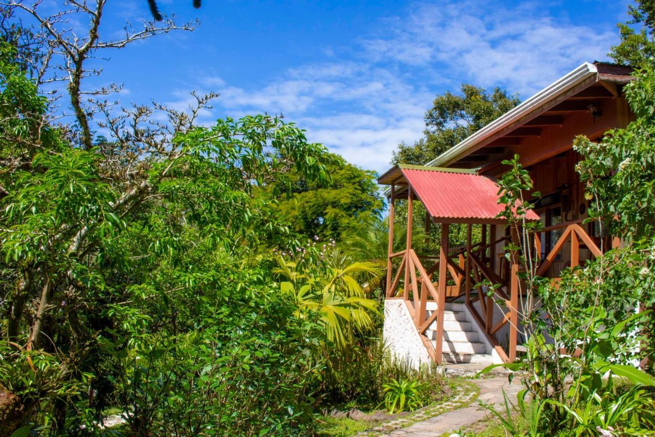 Hotel Holistico Monteverde Luaran gambar