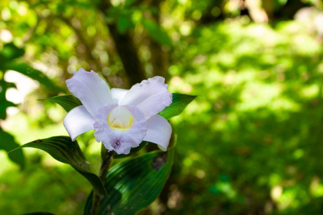 Hotel Holistico Monteverde Luaran gambar